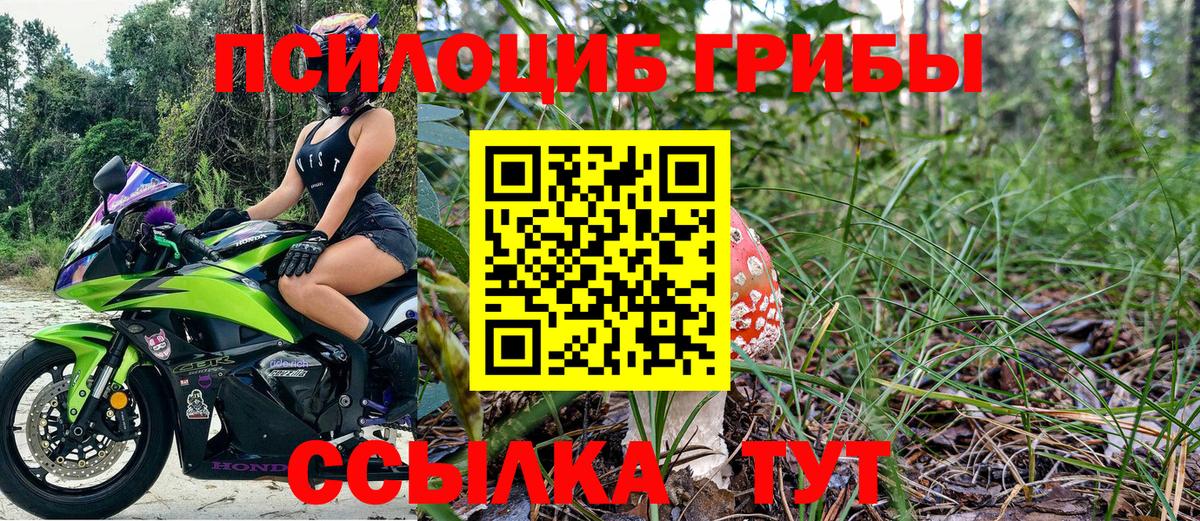 Псилоцибиновые грибы Psilocybine cubensis  Вход с VPN  Нижний Тагил 