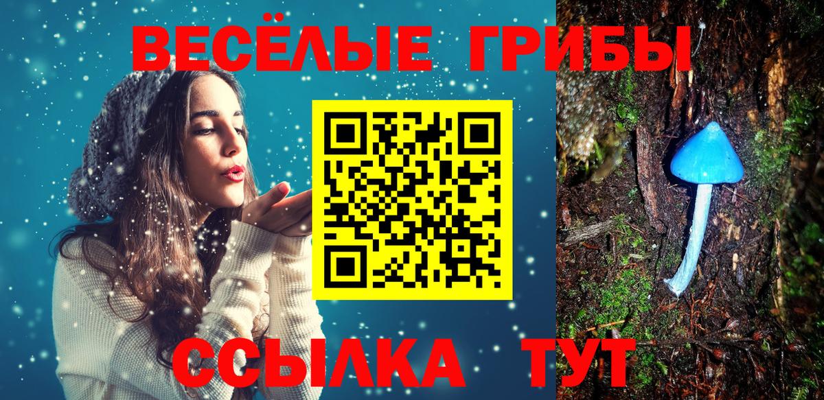 Псилоцибиновые грибы GOLDEN TEACHER Нижний Тагил